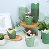 Whaline 180Pcs Gradient Green Tulip Cupcake Liners Sage Green Tulip