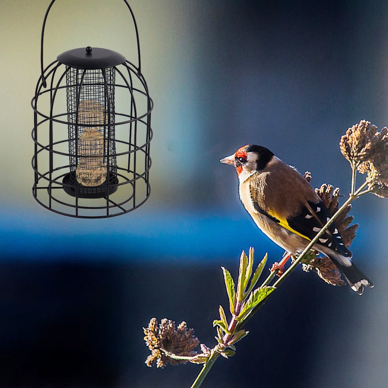 Iron Cage Bird Feeder Metal Bird Food Dispenser Hanging Feeding