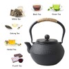 Hwagui - Large Cast Iron Teapot With Infuser For Varieties