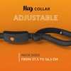 Weenect Dog XT - NEW GPS Collar for Dogs |