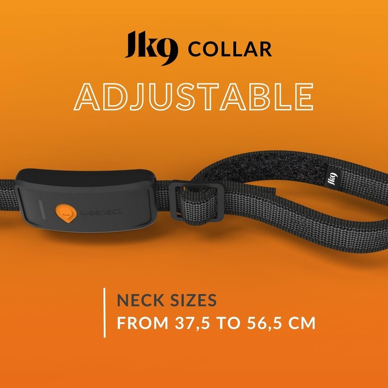 Weenect Dog XT - NEW GPS Collar for Dogs |