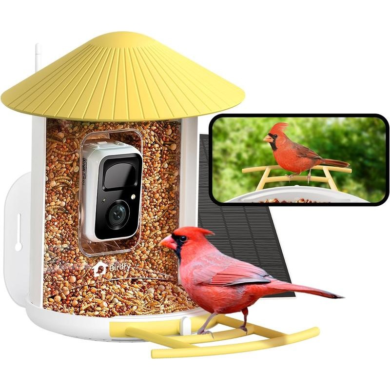Birdfy Feeder with Solar Panel - Solar Powered Bird Feeder