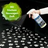 Ankerkraut Pull that Piggy, Pulled Pork BBQ-Rub, Gewürzmischung zum Grillen,