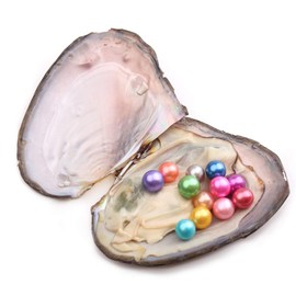 JNMM Pearl Oyster Freshwater Cultured with 10 Mix Color Round Love Wish Oysters with Pearls Inside 10 Colors (6-8mm), Valentines Mothers Day Birthday Pearl Wedding Party (Total 10 Pearls)