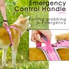 ThinkPet No Pull Harness Breathable Sport Harness with Handle-Dog Harnesses