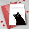 Bablira Funny Cat Birthday Card for Him Her, Naughty Birthday