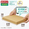 Earth Cardboard Nekoposu Box A5 3cm 20 Sheets Click Post