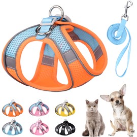 PETPUBGNZS Soft Small Dog Harness and Leash Set Step in Air Mesh Puppy Harness Leash Easy Walk Dog Harness Vest Adjustable Reflective No Pull Dog Harnesses for Small Dogs Cats (Orange Blue,XS)