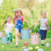 2 Pcs Easter Egg Baskets for Kids, Easter Eggs Hunt