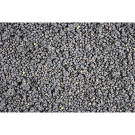 1000Kräuter Elderberries Elderberry Berries Dried Tea Whole (500 g)