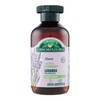 Antica Erboristeria Lavender Shampoo 250ml