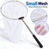 Retractable Hand Net for Insects & Small Fish – Folding