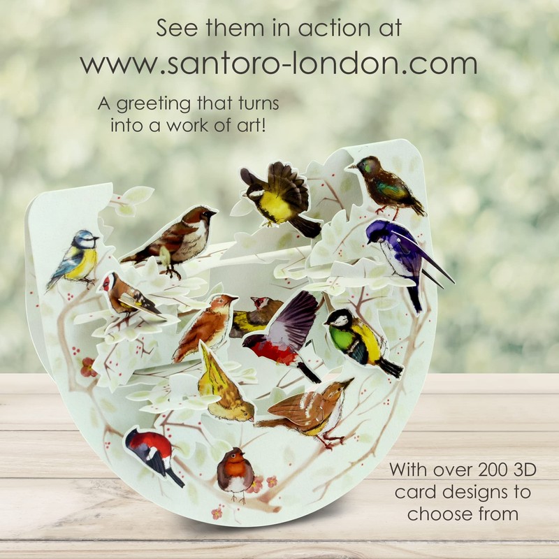 SANTORO Popnrock, 3D Pop Up Greeting Card - Garden Birds