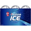 Dentyne Dentyne Ice Peppermint Sugar Free Gum, 6 Bottles of