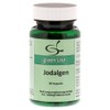 Iodine Algae Capsules Pack of 90 Capsules