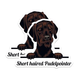 (2 Pack) Short Haired Pudelpointer Magnets - Dog Lover - Cute Pet Fridge Magnets - 5" On Longest Side - for Cars, Fridges, Toolboxes - Made in USA - MAG4228