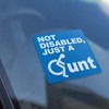 Not Disabled Just A Bad Parking Space Bay Bumper Sticker
