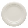 Aspen Ridge Dinner Plate by Lenox