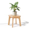 PELYN Wooden Step Stool for Kids & Adults – Small