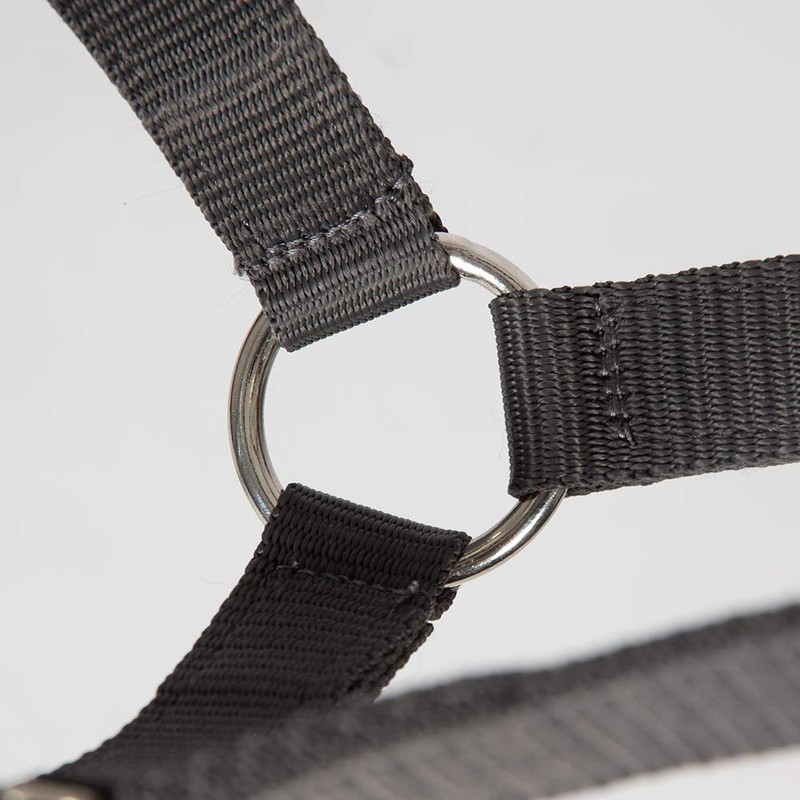 PFIFF Jocose 102921 Safety Halter Paddock Headcollar Grey Shetty