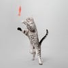 Playology Cat Toys | Interactive Toy Teaser Fish & Snake