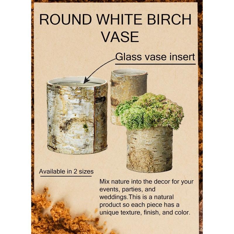 Serene Spaces Living 4.5" White Birch Bark Vase - Size: