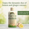 Garden Greens Wheat Grass Liquid with Real Ginger Extract, Nature's