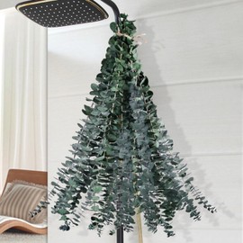 Koceko 12 Pcs Dried Eucalyptus for Shower Hanging - 17'' Real Large Preserved Eucalyptus Stems Green Home Decor, 100% Made from Fresh Eucalyptus Leaves, Bathroom Shower Decor, Wedding, DIY