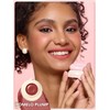 SHEGLAM Hydra Jelly Pocket Lip Paste Velvet Matte Lipstick Lip