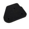 2EXTREME Air Filter Insert for Rex Rex 50, Rexy 50,
