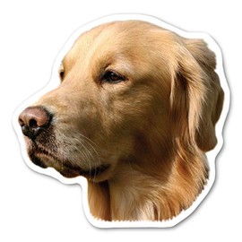 Magnet America Golden Retriever Dog Magnet is 4.75" x 4.75" Made for Vehicles and Refrigerators