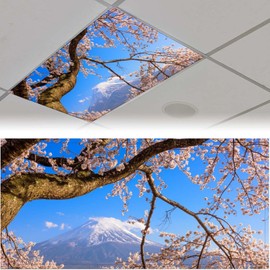 ZAQIO 2Pack Fluorescent Light Covers Ceiling Light, Mount Fuji Magnetic Ceiling Light Cover Classroom Lights Covers Classroom Supplies for School Classroom Home Office, 4 X 2 Feet