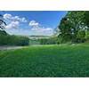 Hale Habitat & Seed Clovers, Alfalfa, & Chicory Food Plot
