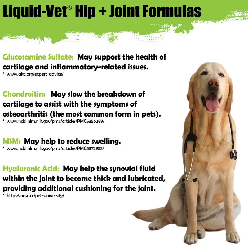 Liquid-Vet K9 Hip & Joint Advanced Formula, Chicken Flavor, 8