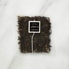 Smith Teamaker Jasmine Silver Tip Green Tea (3x15 Bag)