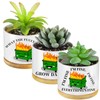 Baderke 3 Pieces Emotional Support Dumpster Fire Plant Pots Employees