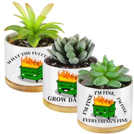 Baderke 3 Pieces Emotional Support Dumpster Fire Plant Pots Employees Gifts Dumpster Fire Desk Planter Set Ceramic Planter Succulent Accessories for Desk Décor Nurse Teacher Student Gifts