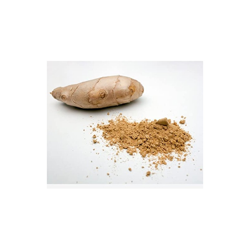 Clean Organic Ginger Powder - Zingiber officinale -100% Pure and