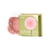 Benefit Blusher Dandelion Mini and 4 other types / 베네피트