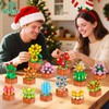 Advent Calendar 2025 Flower Succulent 3.6 Mini Building Set -