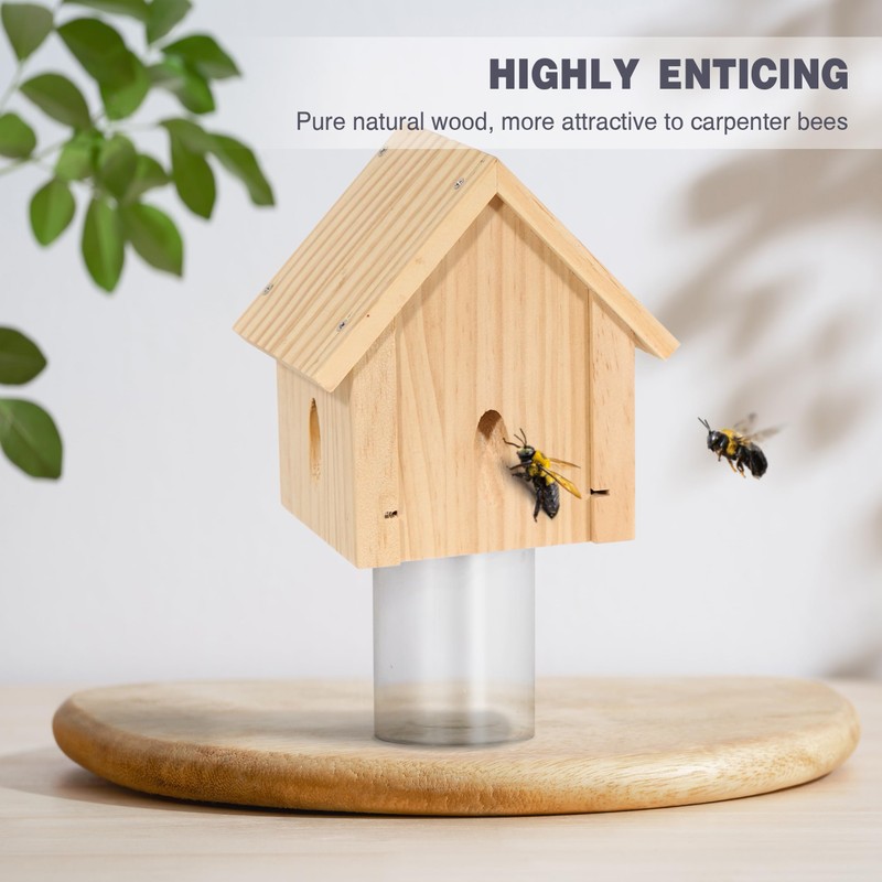 Carpenter Bee Trap for Outside - Best Bee Trap -