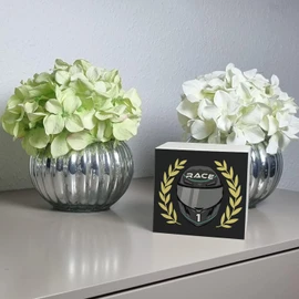 Motorsport Helmet Money Box Made of Wood in Black/Silver with Winner Wreath, Cool Motorsport Racing Car, Helmet, Motorcycle, Piggy Bank, Racing Money Box, Fan Men Racing Piggy Bank Car
