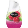 Renuzit Raspberry Air Freshner