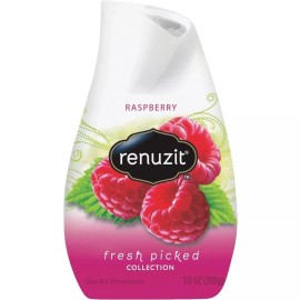 Renuzit Raspberry Air Freshner