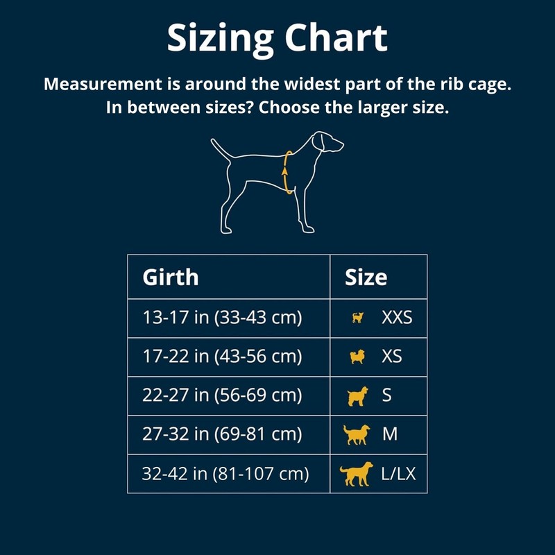 RUFFWEAR Front Range Harness, Medium Dog Harness, Reflective Y Harness,