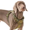 Adjustable No-Pull Reflective Soft Inescapable Dog Vest Harness for Big
