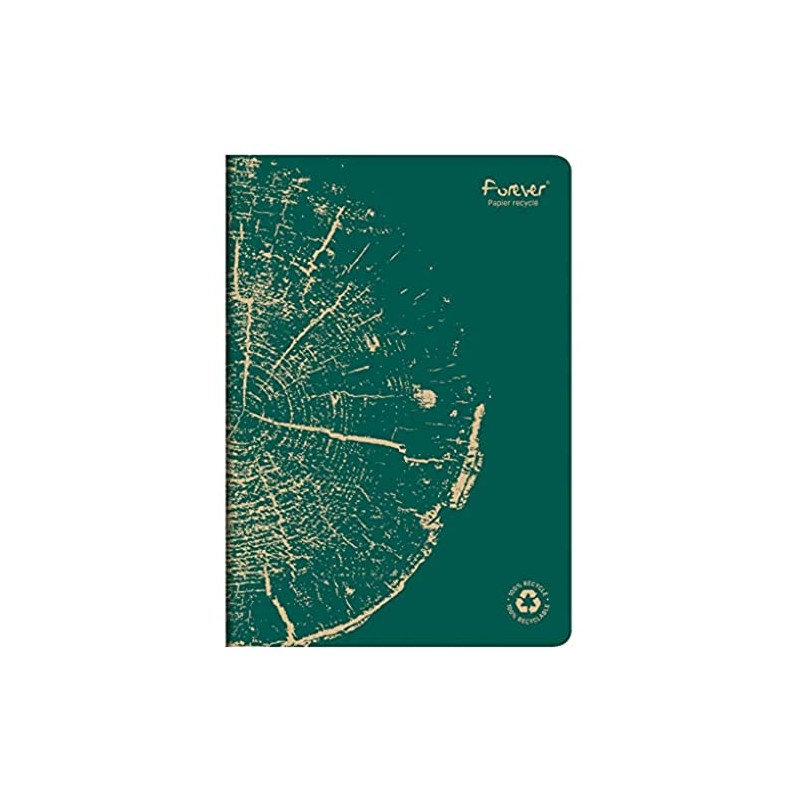 Clairefontaine 684661C - FOREVER premium pricked notebook 21x29.7cm 90g recycled