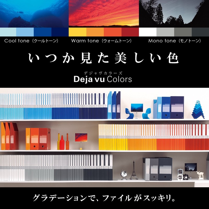 Plus PP Letter File A4 2 Hole Deja Vu FL-101DP