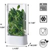 vacane Herb Keeper for Refrigerator, Fresh Herb Saver Herb Storage