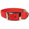 OmniPet Zeta - Collar Regular para Perro, 3/4 x 16,